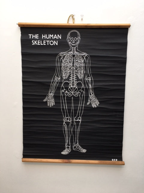 Original cool Vintage medical skeleton poster HEP