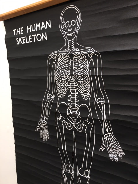 Original cool Vintage medical skeleton poster HEP