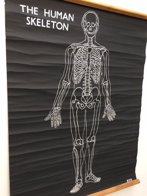 Original cool Vintage medical skeleton poster HEP