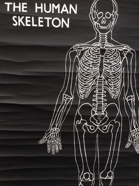 Original cool Vintage medical skeleton poster HEP